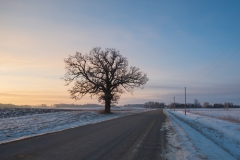 Dundas, MN