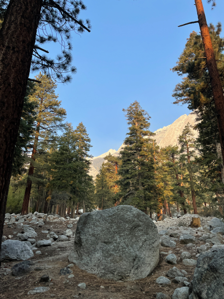 Whitney Zone