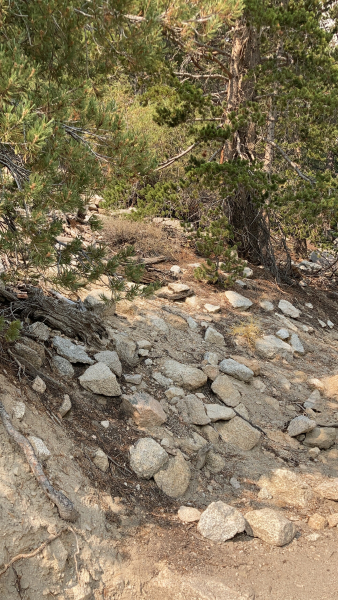 Whitney Trail (John Muir Trail) - Day 1