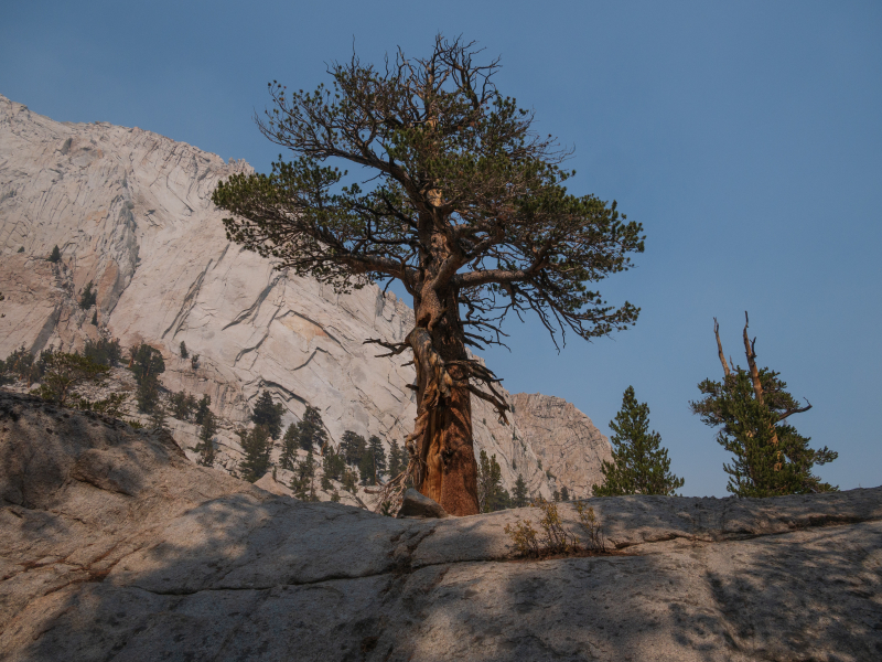Whitney Trail (John Muir Trail) - Day 1