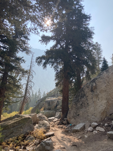 Whitney Trail (John Muir Trail) - Day 1