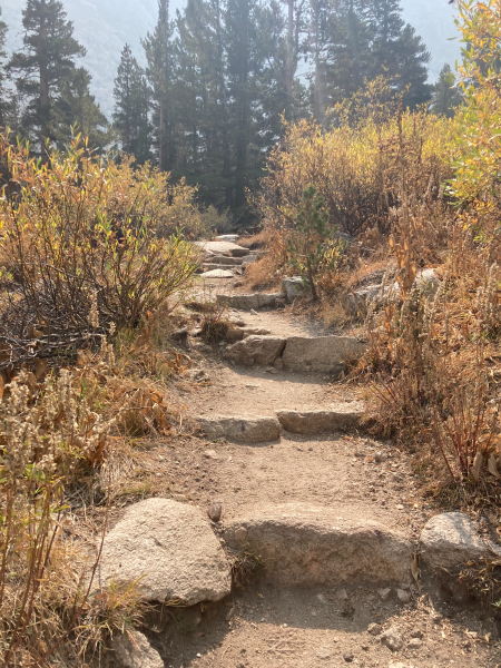Whitney Trail (John Muir Trail) - Day 1