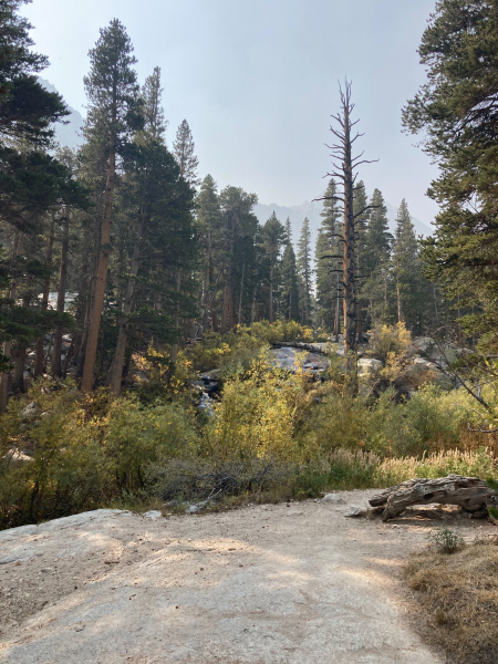 Whitney Trail (John Muir Trail) - Day 1