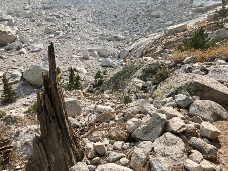 Whitney Trail (John Muir Trail) - Day 1