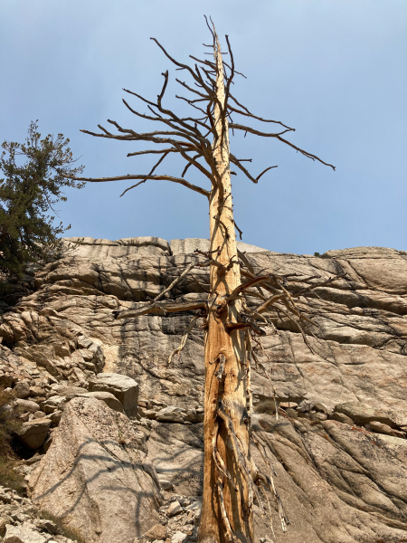 Whitney Trail (John Muir Trail) - Day 1