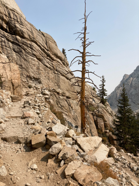 Whitney Trail (John Muir Trail) - Day 1