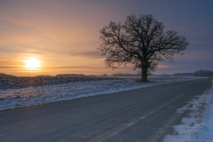Dundas, MN