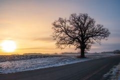 Dundas, MN