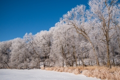 Myre Big Island State Park