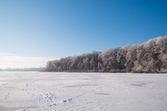 Myre Big Island State Park