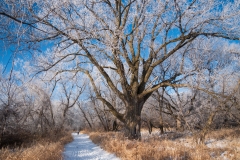 Myre Big Island State Park