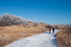 Myre Big Island State Park