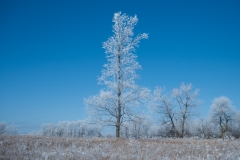 Myre Big Island State Park