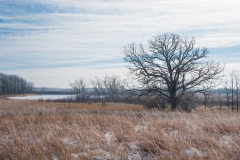 Myre Big Island State Park