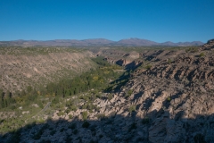 P1000660