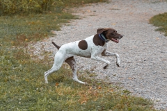September Dog Park