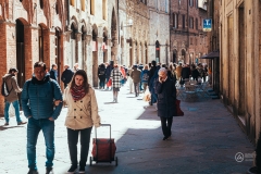 P1003399