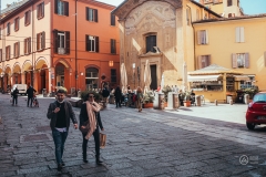 P1003527