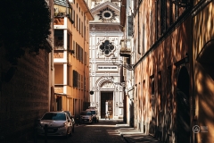 P1003578