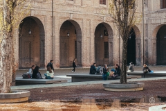 P1003585