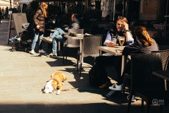 P1003767