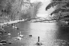 P1200413