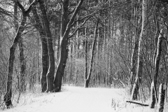 P1200446