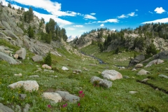 The Beaten Path