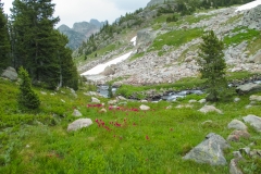 The Beaten Path
