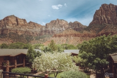 West Rim Trail - Zion National Park