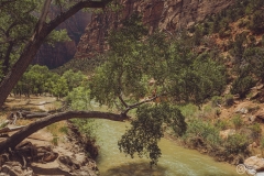 West Rim Trail