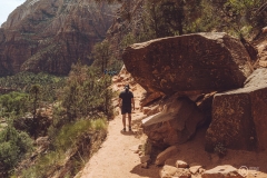 West Rim Trail