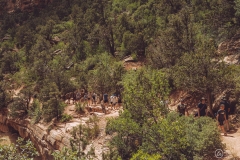 West Rim Trail