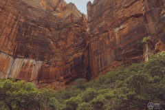 West Rim Trail