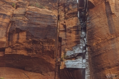 West Rim Trail