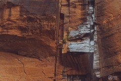West Rim Trail