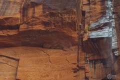 West Rim Trail