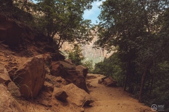 West Rim Trail
