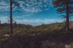 West Rim Trail
