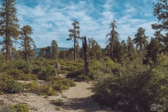 West Rim Trail