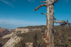 West Rim Trail
