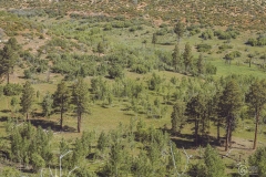 West Rim Trail