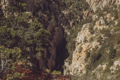West Rim Trail