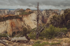 West Rim Trail