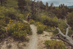 West Rim Trail