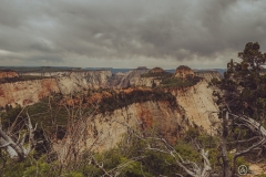 West Rim Trail