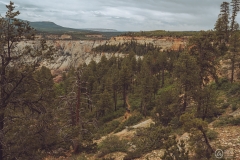 West Rim Trail
