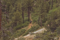 West Rim Trail