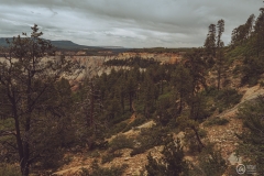West Rim Trail