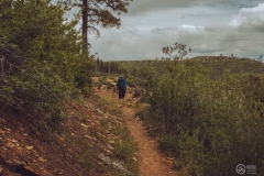 West Rim Trail